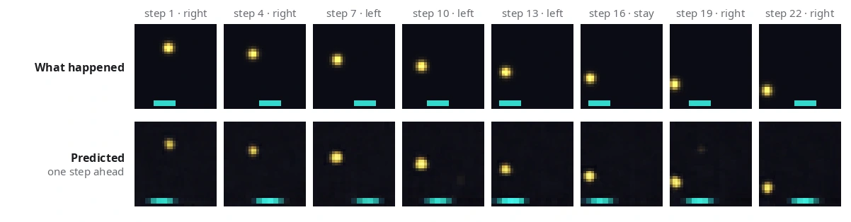 Two rows of eight MiniPong frames. Top: what really happened. Bottom: the model's prediction one step ahead. The ball matches closely at every step; the predicted paddle is blurrier.